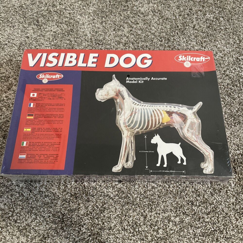 Skilcraft Visible Dog Anatomical Model Plastic Organ Display Educational NEW